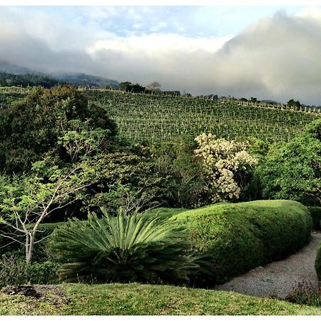 Coffee Garden Ranch Costa Rica Apartment Concepcion  Екстериор снимка