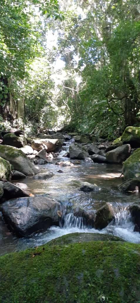 Coffee Garden Ranch Costa Rica Apartment Concepcion  Екстериор снимка