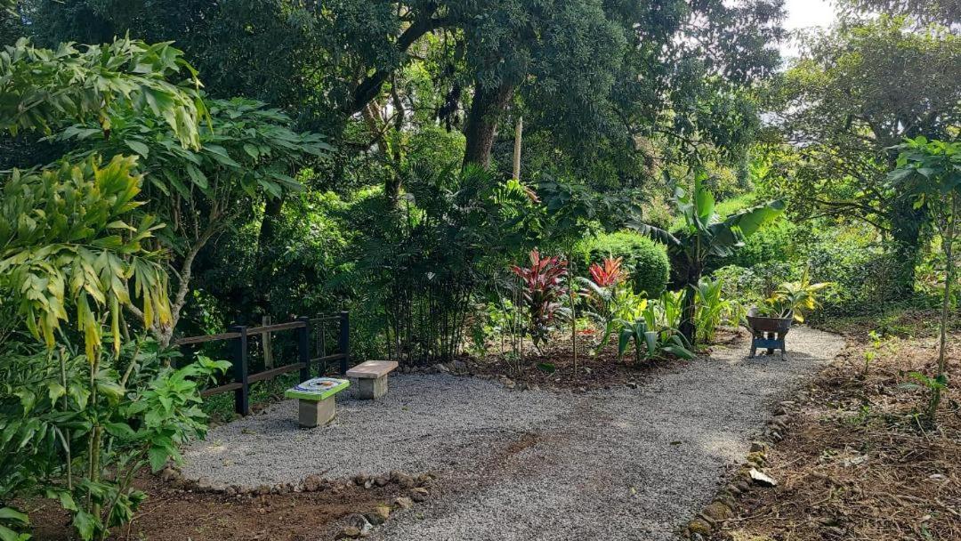 Coffee Garden Ranch Costa Rica Apartment Concepcion  Екстериор снимка
