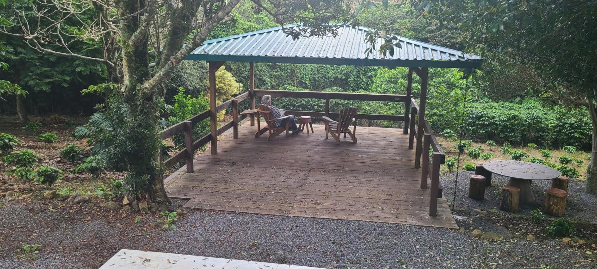 Coffee Garden Ranch Costa Rica Apartment Concepcion  Екстериор снимка